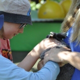 Petting Zoo At OWL Day Care